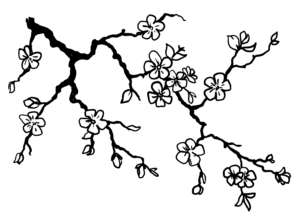 Fuji-flower-bkgrd Fuji-flower-bkgrd
